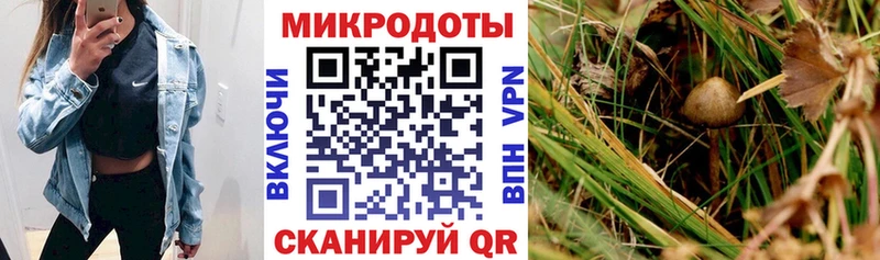 Галлюциногенные грибы ЛСД  Верещагино 