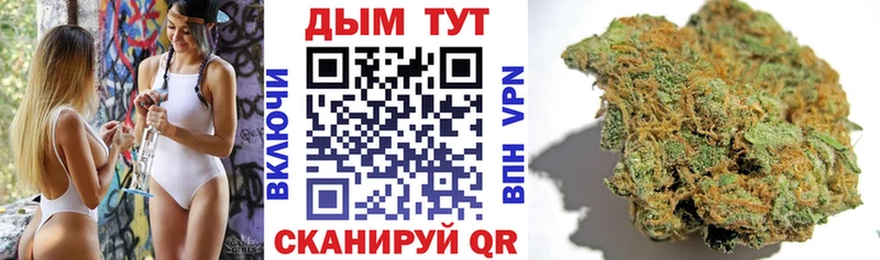 Бошки Шишки план  Верещагино 